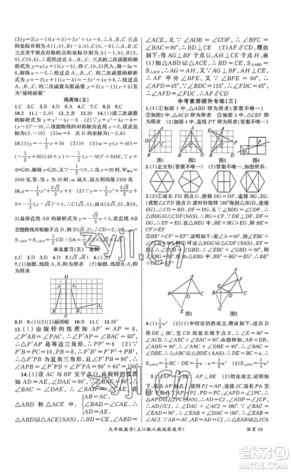 新疆青少年出版社2022原創(chuàng)新課堂九年級數(shù)學上冊人教版答案