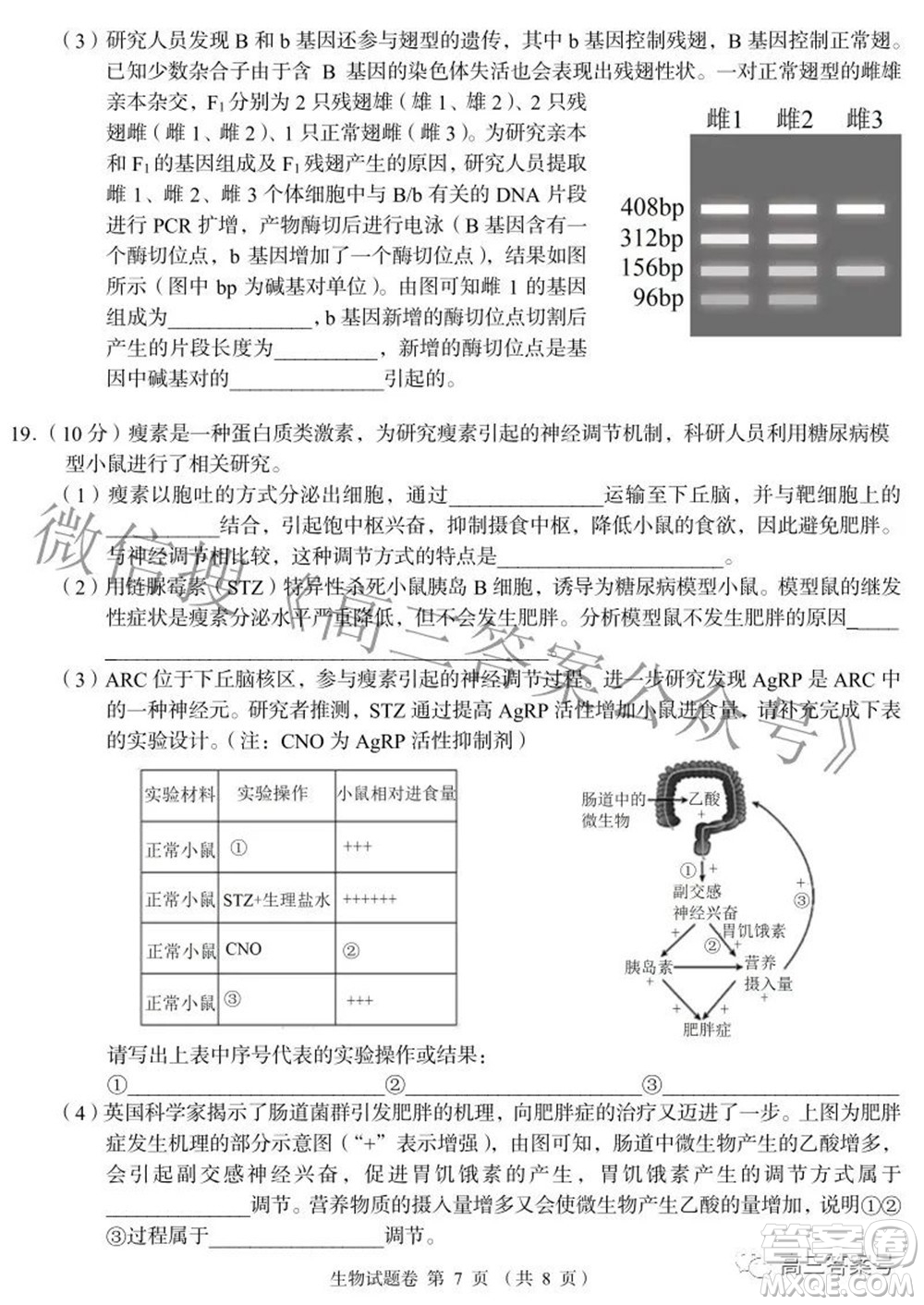 A佳教育2022年8月高三入學(xué)摸底測試生物試題及答案