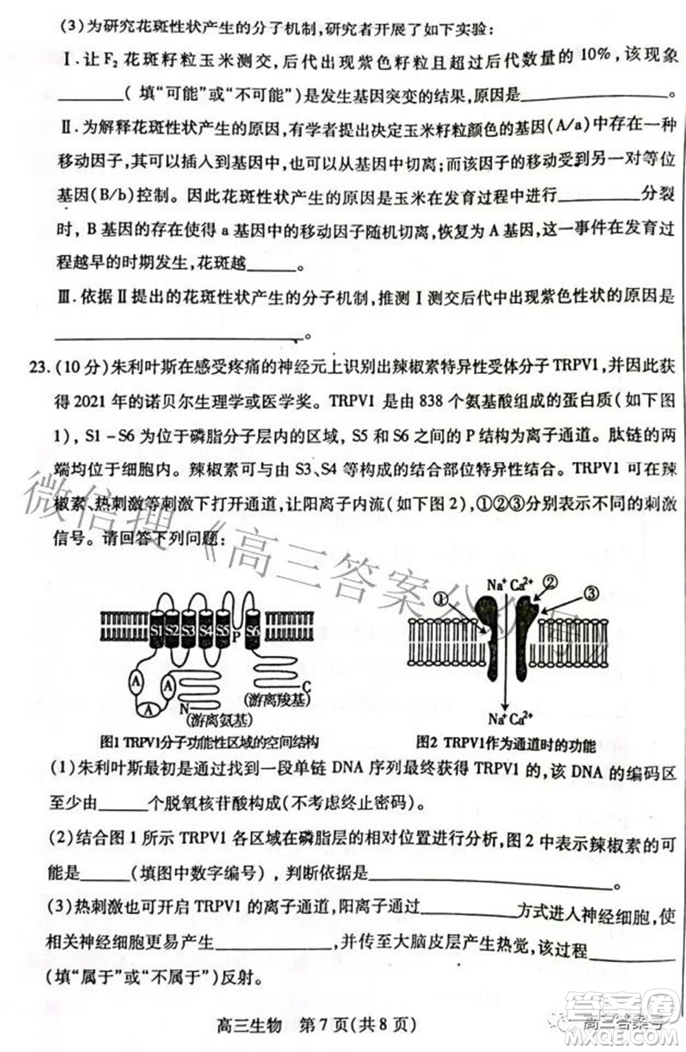 包頭市2022-2023學(xué)年度第一學(xué)期高三年級調(diào)研考試生物試題及答案