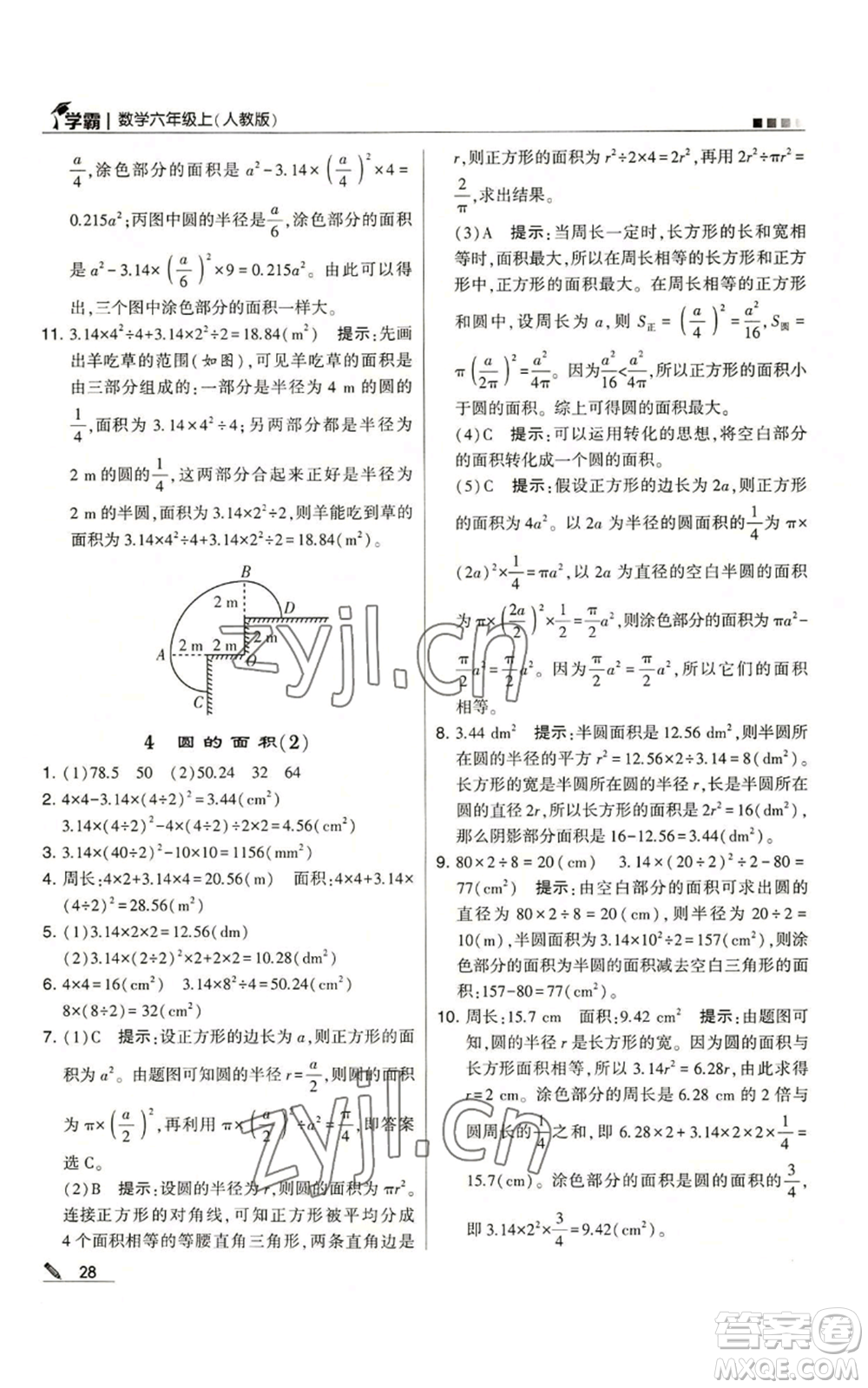 甘肅少年兒童出版社2022經(jīng)綸學(xué)典學(xué)霸六年級上冊數(shù)學(xué)人教版參考答案