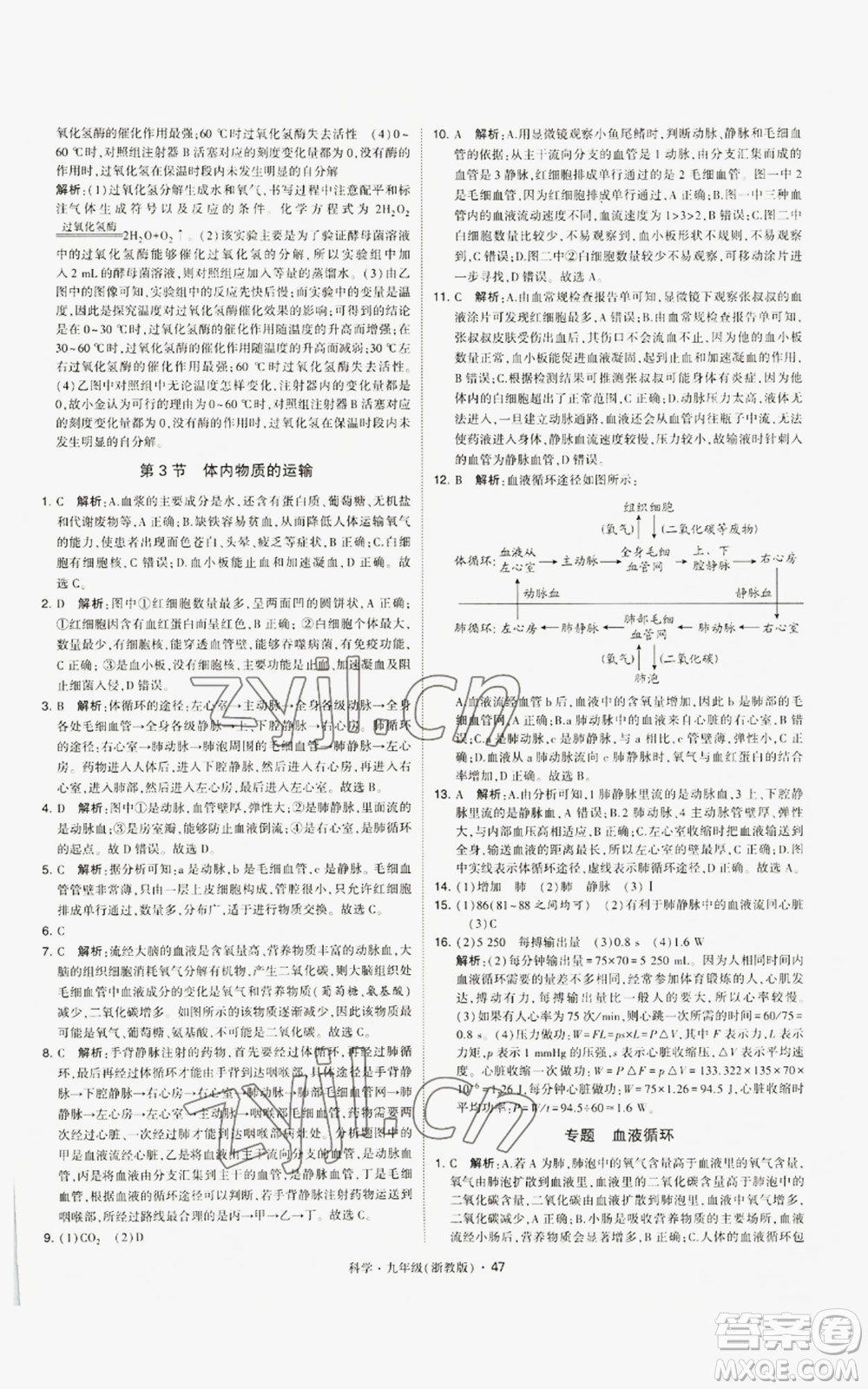 寧夏人民教育出版社2022經(jīng)綸學(xué)典學(xué)霸題中題九年級科學(xué)浙教版參考答案