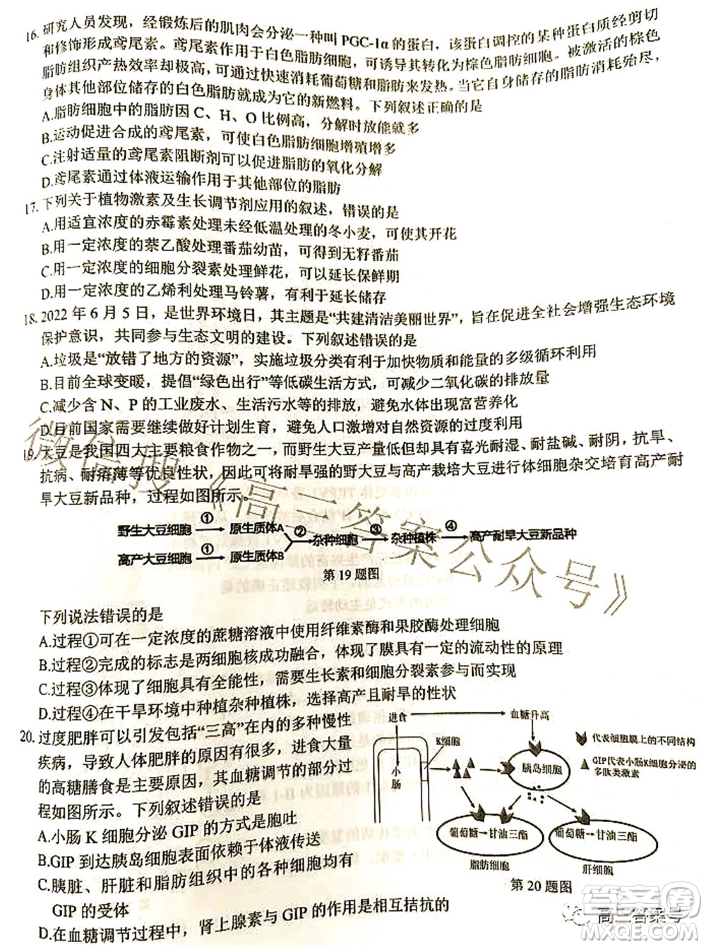 2022學(xué)年第一學(xué)期浙江省七彩陽光新高考研究聯(lián)盟返校聯(lián)考高三生物試題及答案