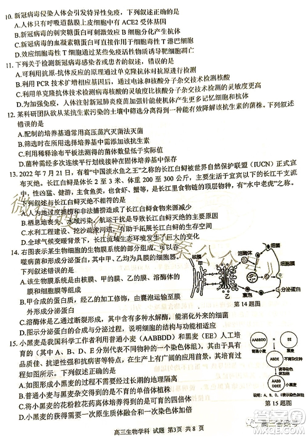 2022學(xué)年第一學(xué)期浙江省七彩陽光新高考研究聯(lián)盟返校聯(lián)考高三生物試題及答案