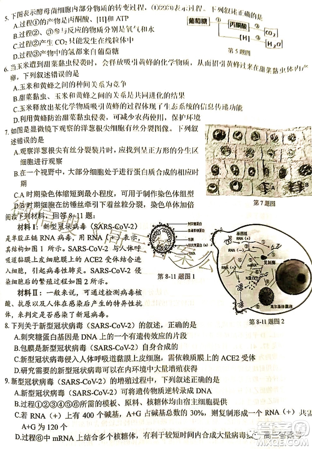 2022學(xué)年第一學(xué)期浙江省七彩陽光新高考研究聯(lián)盟返校聯(lián)考高三生物試題及答案