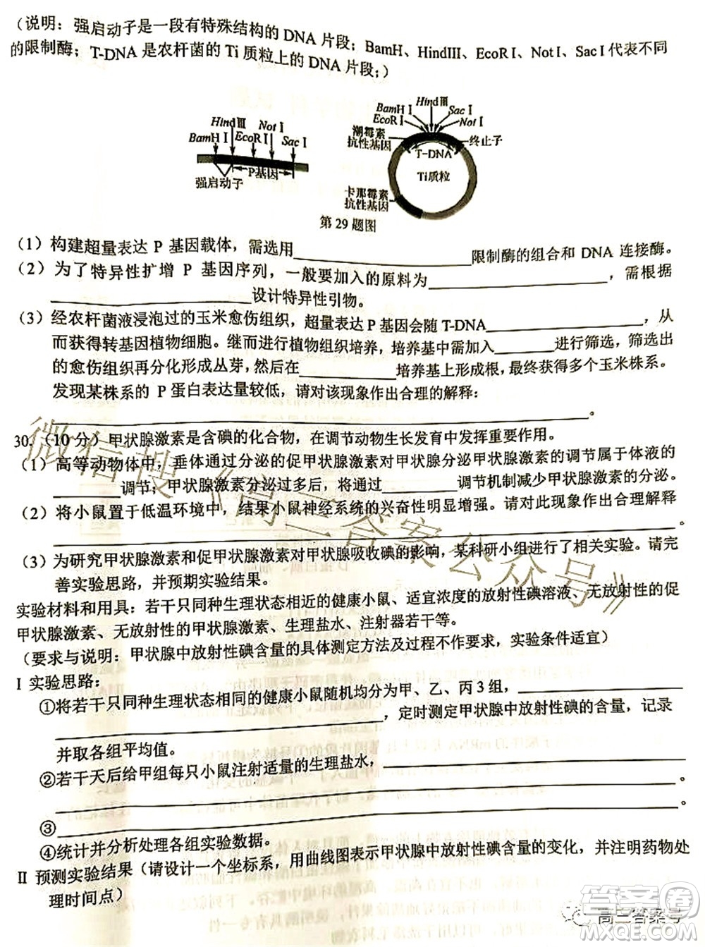 2022學(xué)年第一學(xué)期浙江省七彩陽光新高考研究聯(lián)盟返校聯(lián)考高三生物試題及答案