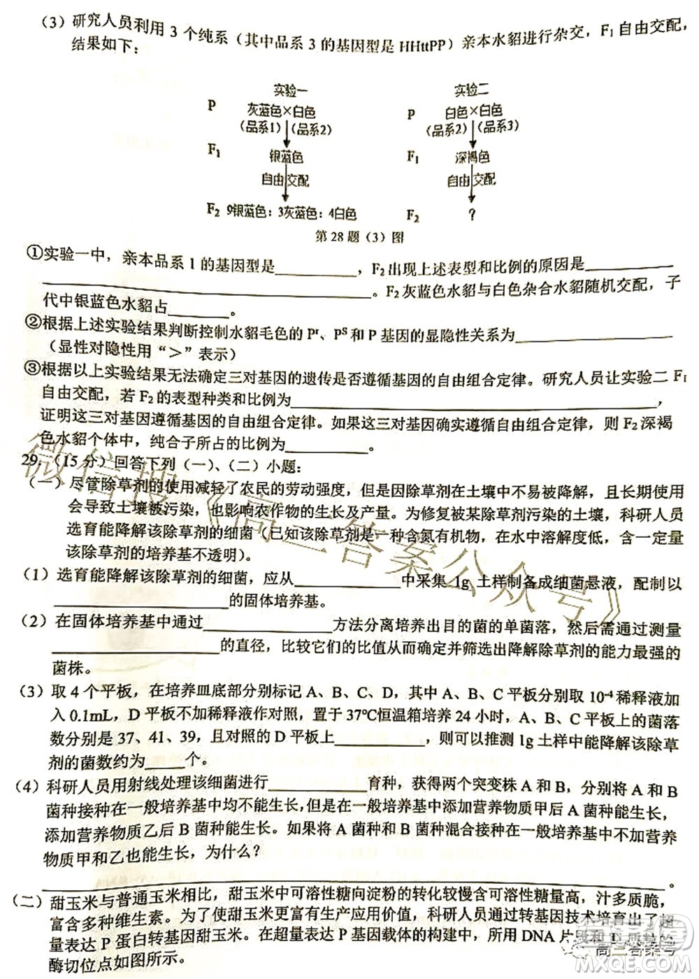 2022學(xué)年第一學(xué)期浙江省七彩陽光新高考研究聯(lián)盟返校聯(lián)考高三生物試題及答案