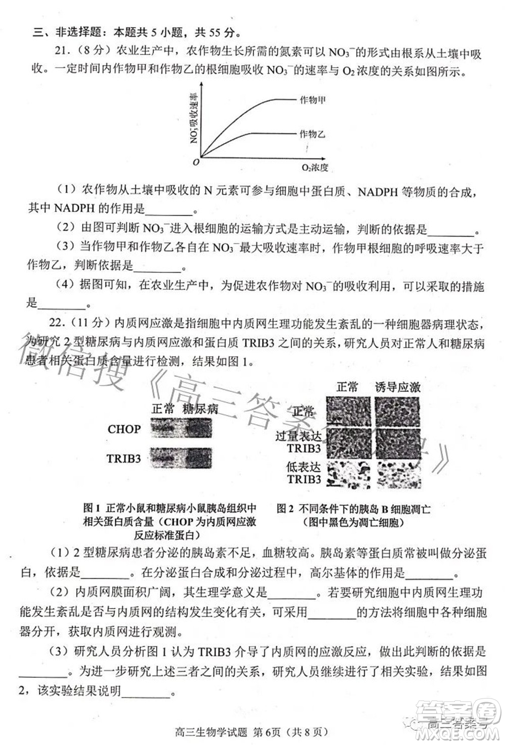 日照市2020級高三上學(xué)期校際聯(lián)合考試生物學(xué)試題及答案