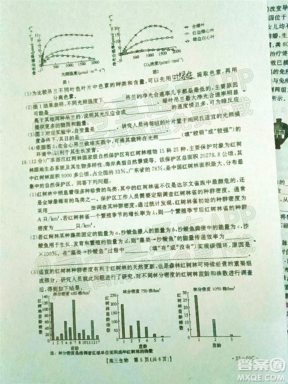 2023屆廣東金太陽8月高三聯(lián)考生物試題及答案