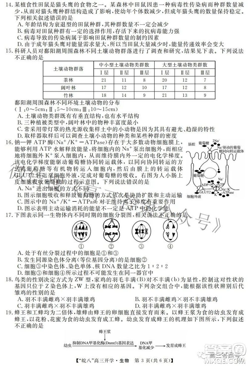 2023屆皖南八校高三開學(xué)考試生物試題及答案