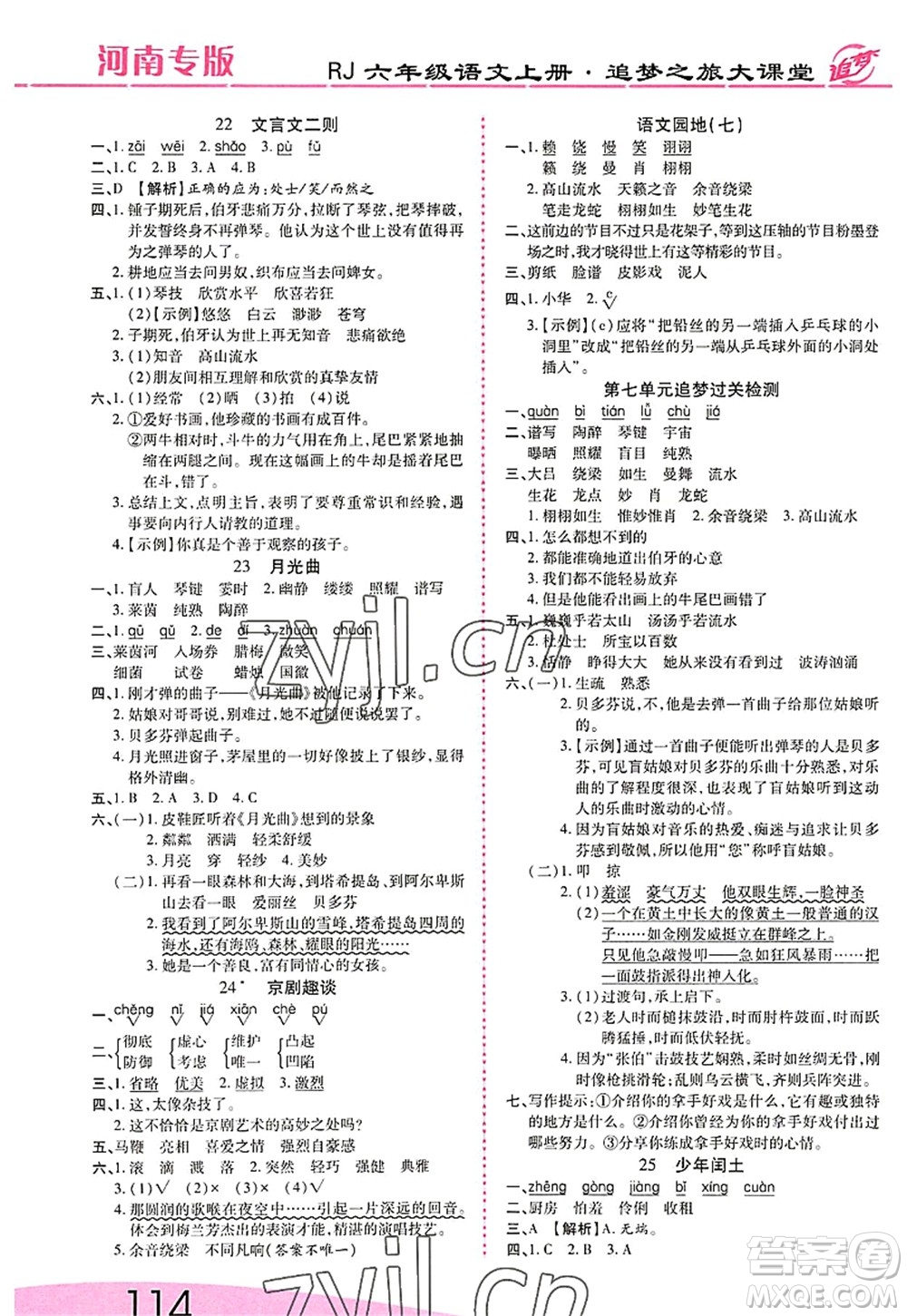 天津科學(xué)技術(shù)出版社2022追夢(mèng)之旅大課堂六年級(jí)語文上冊(cè)RJ人教版河南專版答案