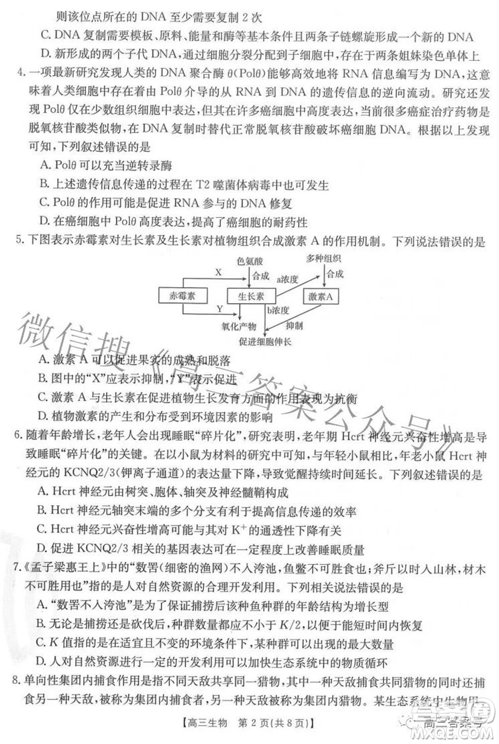 2023屆福建金太陽高三9月聯(lián)考生物試題及答案