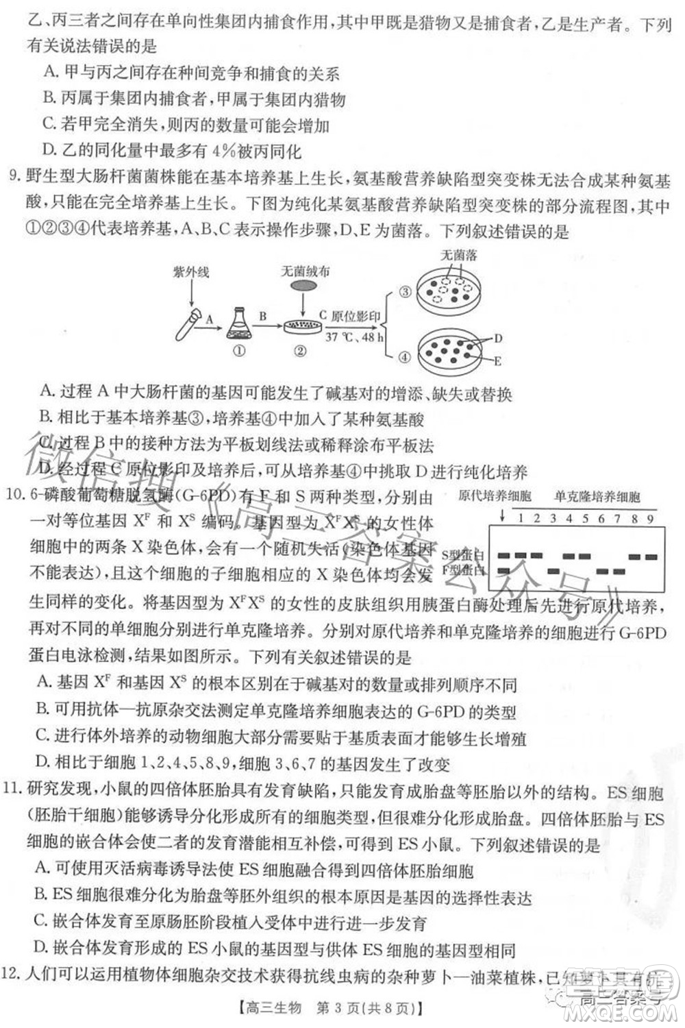 2023屆福建金太陽高三9月聯(lián)考生物試題及答案