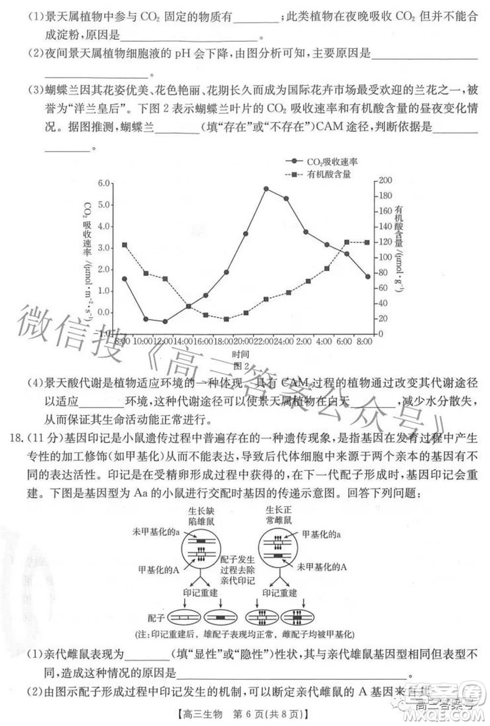 2023屆福建金太陽高三9月聯(lián)考生物試題及答案