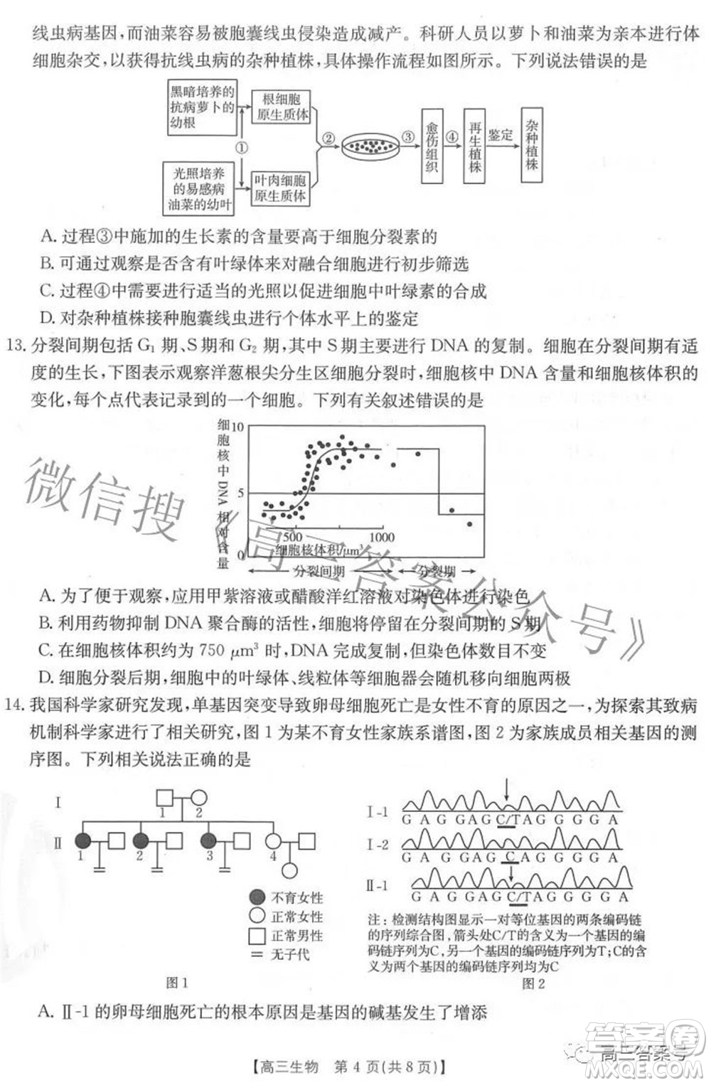 2023屆福建金太陽高三9月聯(lián)考生物試題及答案