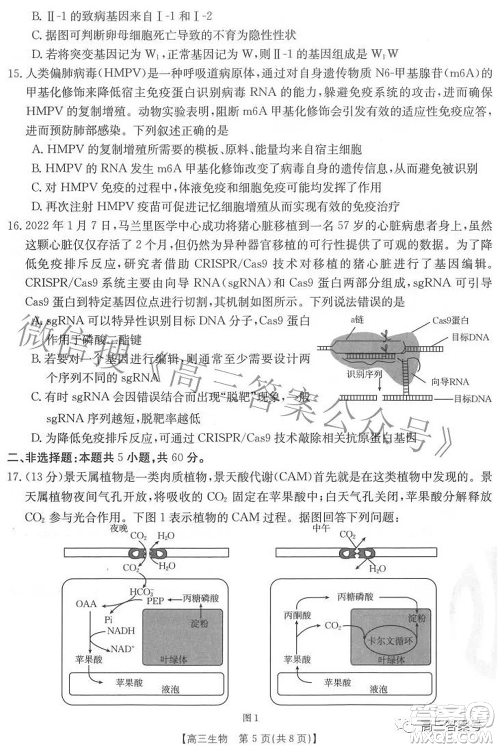 2023屆福建金太陽高三9月聯(lián)考生物試題及答案