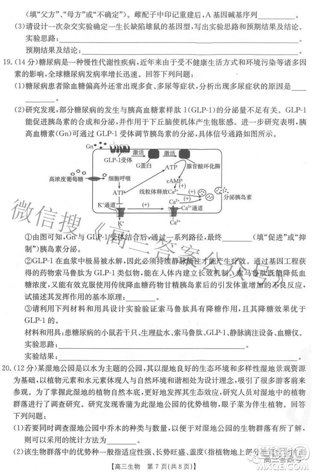 2023屆福建金太陽高三9月聯(lián)考生物試題及答案