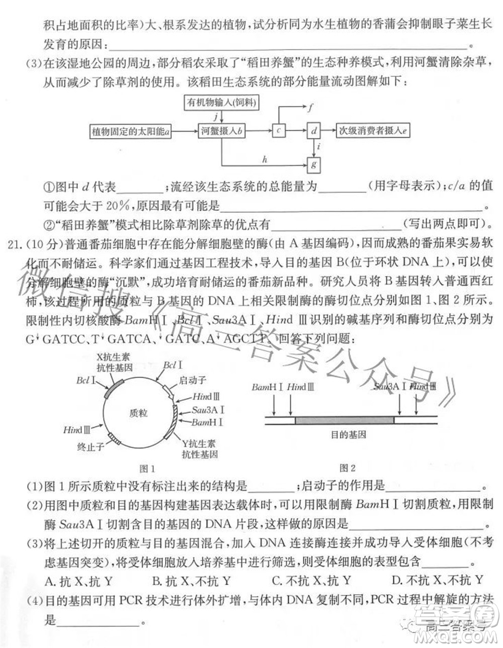 2023屆福建金太陽高三9月聯(lián)考生物試題及答案