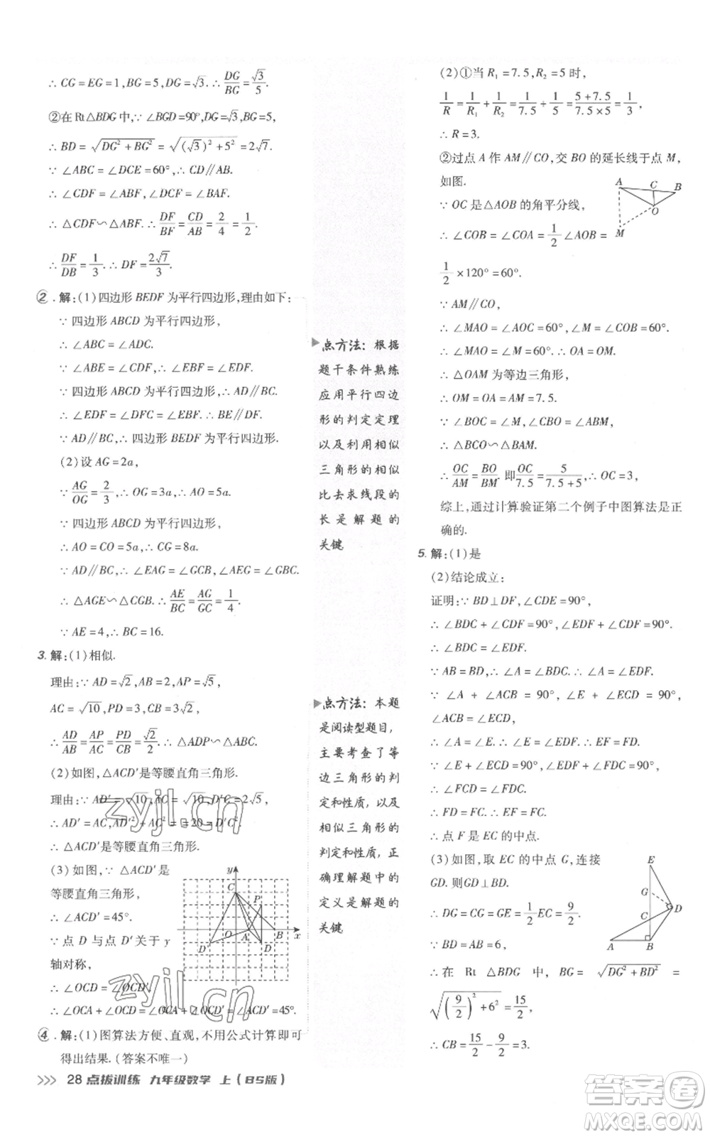 安徽教育出版社2022秋季點撥訓練九年級上冊數(shù)學北師大版參考答案