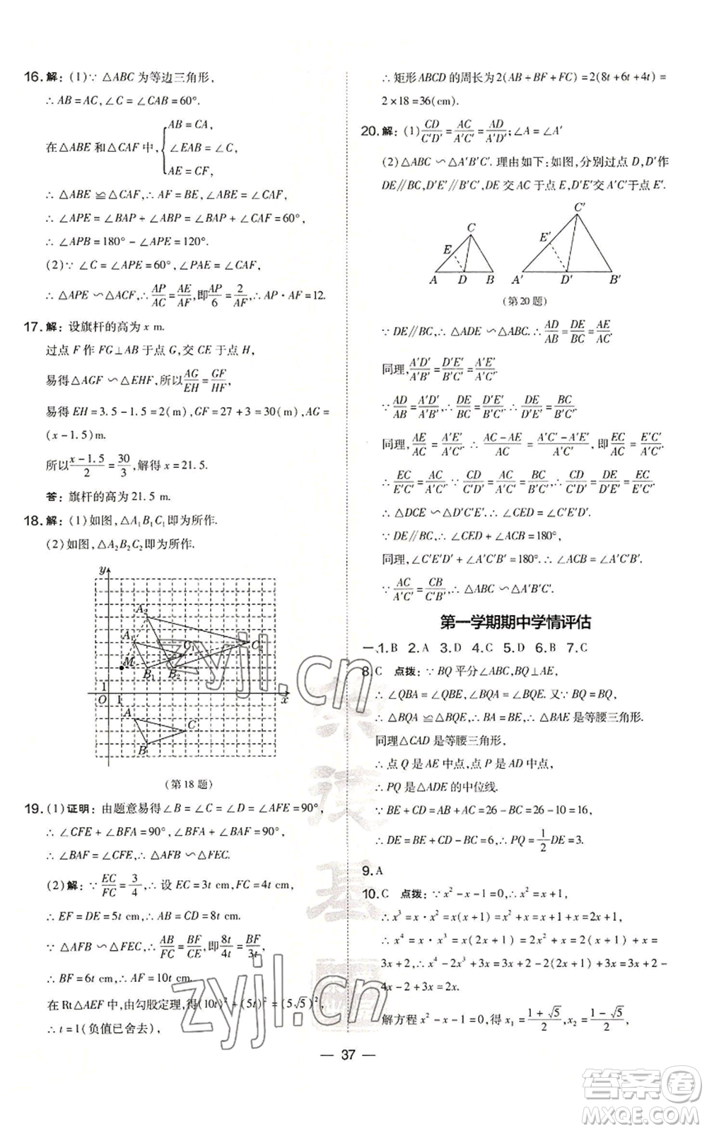 山西教育出版社2022秋季點撥訓練九年級上冊數學華師大版參考答案