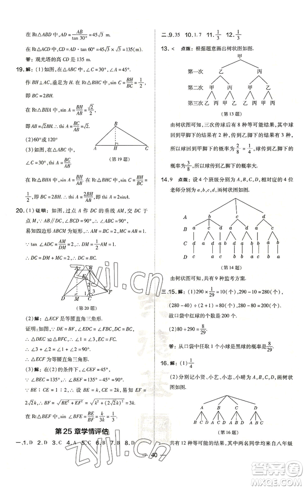 山西教育出版社2022秋季點撥訓練九年級上冊數學華師大版參考答案