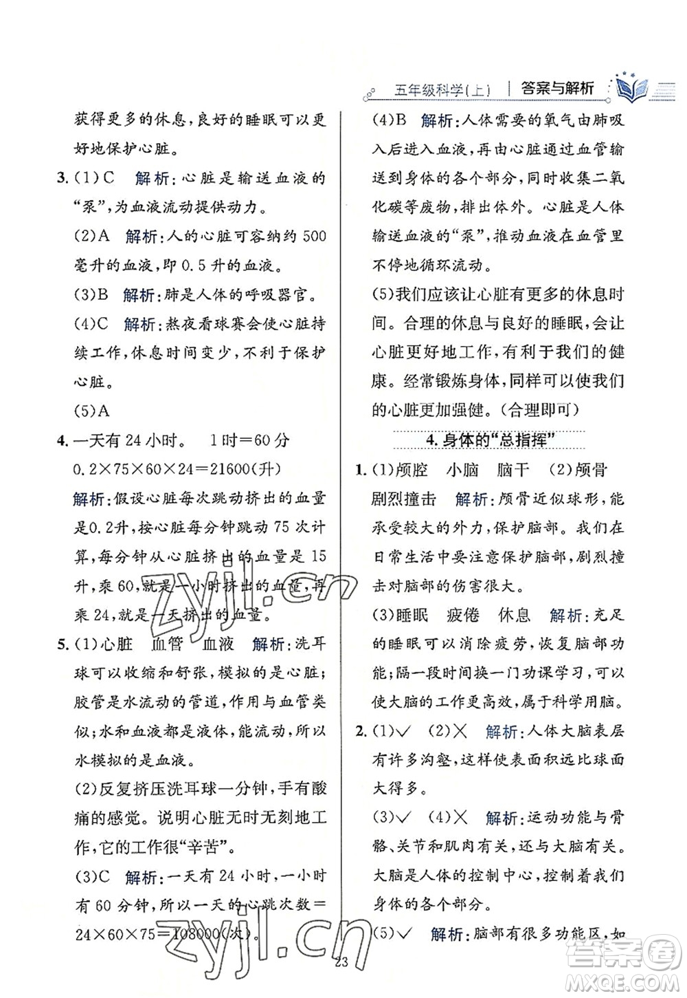 陜西人民教育出版社2022小學(xué)教材全練五年級科學(xué)上冊教育科學(xué)版答案