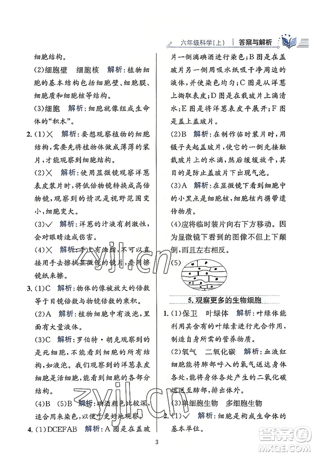 陜西人民教育出版社2022小學(xué)教材全練六年級科學(xué)上冊教育科學(xué)版答案