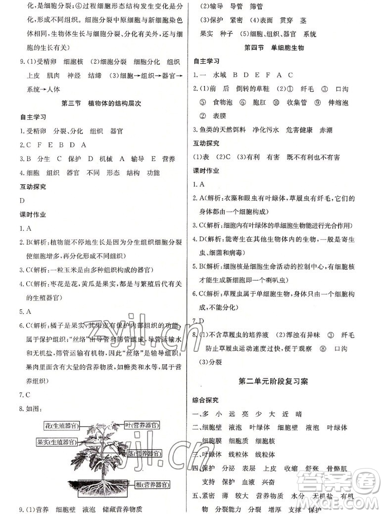 長(zhǎng)江少年兒童出版社2022長(zhǎng)江全能學(xué)案同步練習(xí)冊(cè)生物學(xué)七年級(jí)上冊(cè)人教版答案