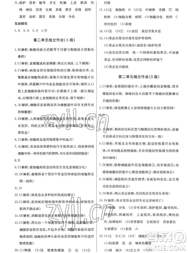 長(zhǎng)江少年兒童出版社2022長(zhǎng)江全能學(xué)案同步練習(xí)冊(cè)生物學(xué)七年級(jí)上冊(cè)人教版答案