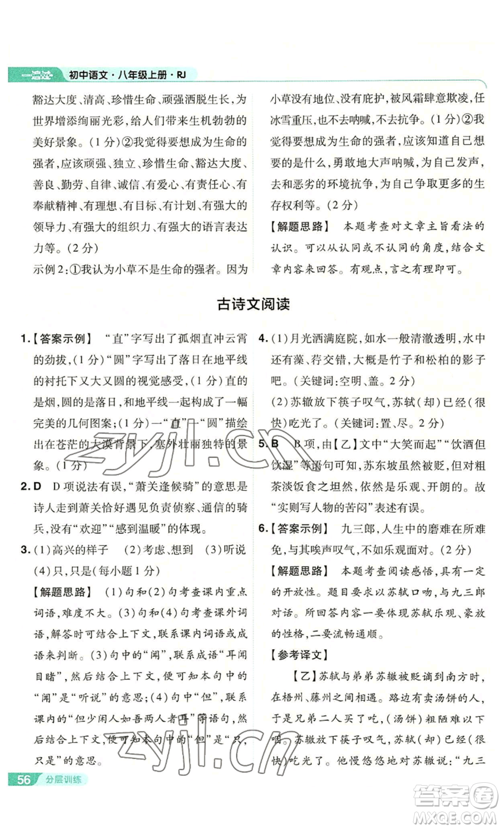 南京師范大學(xué)出版社2022秋季一遍過八年級(jí)上冊(cè)語文人教版參考答案