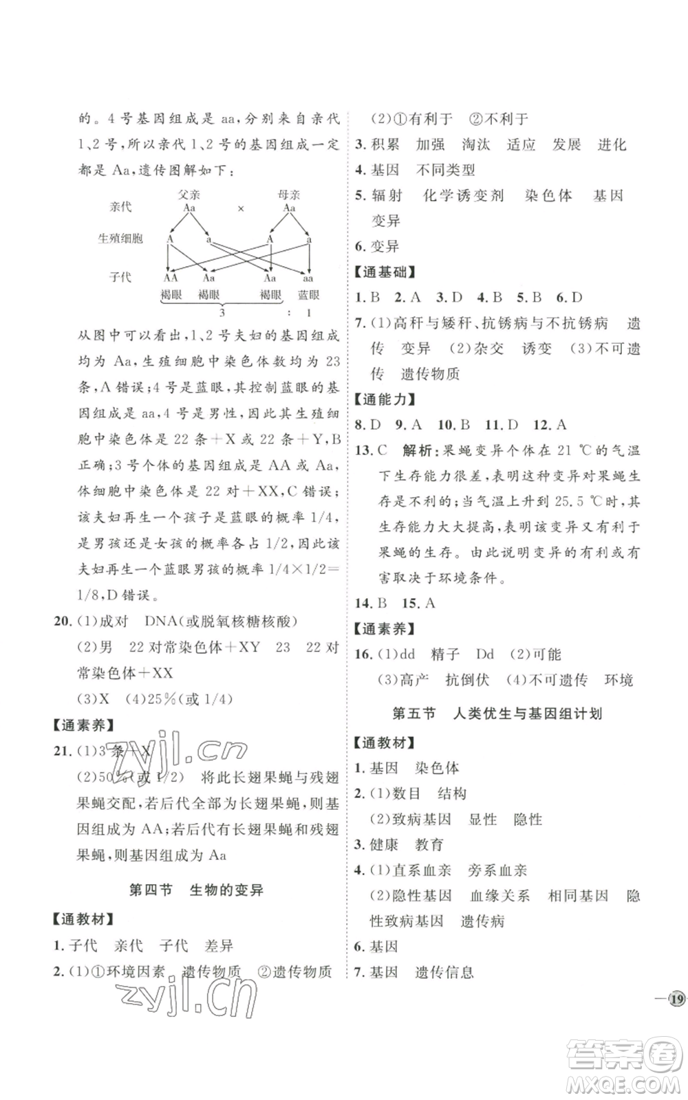 吉林教育出版社2022秋季優(yōu)+學(xué)案課時(shí)通八年級(jí)上冊(cè)生物J版參考答案