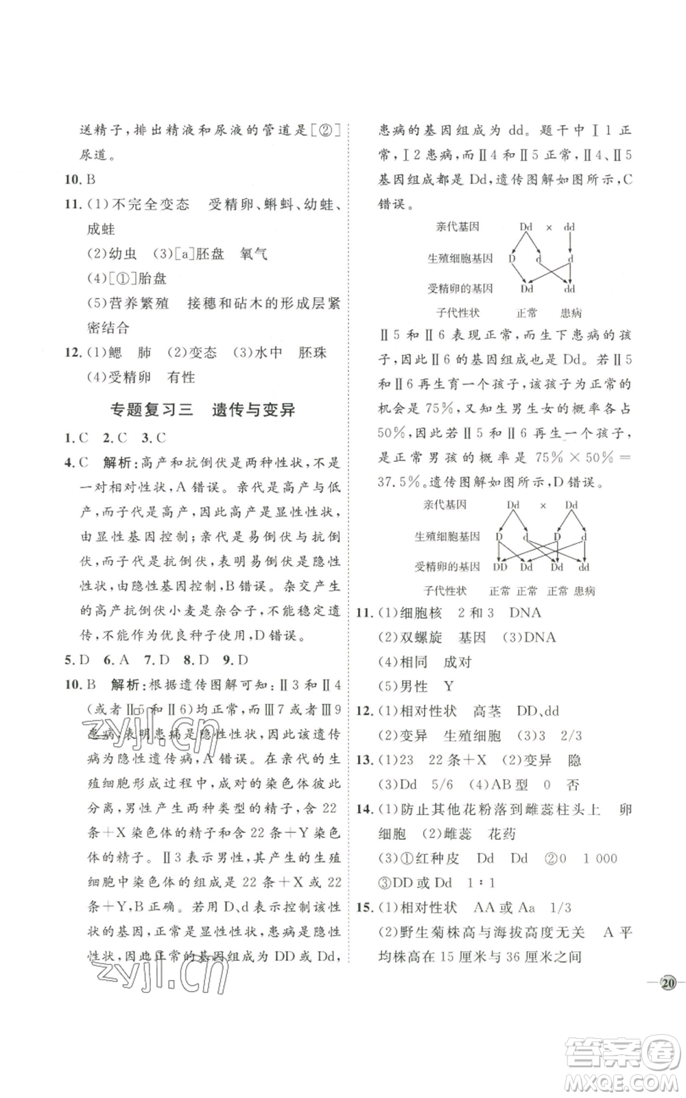 吉林教育出版社2022秋季優(yōu)+學(xué)案課時(shí)通八年級(jí)上冊(cè)生物J版參考答案