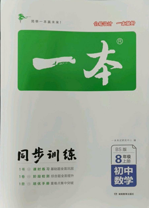 湖南教育出版社2022一本同步訓(xùn)練八年級上冊數(shù)學(xué)北師大版參考答案