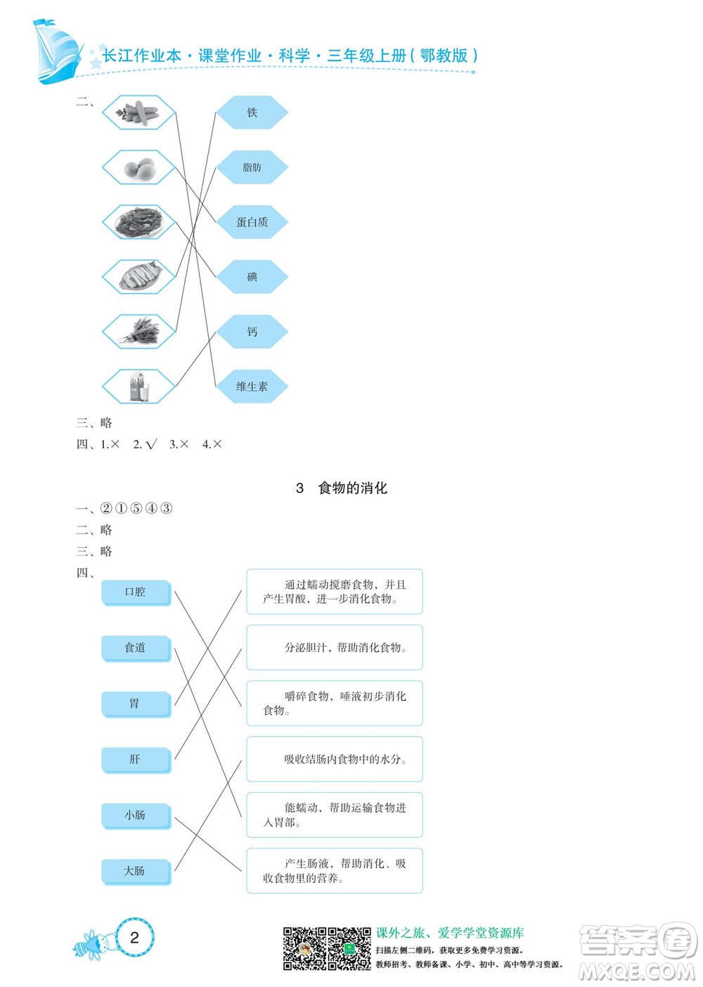 湖北教育出版社2022秋長江作業(yè)本課堂作業(yè)科學三年級上冊人教鄂教版答案