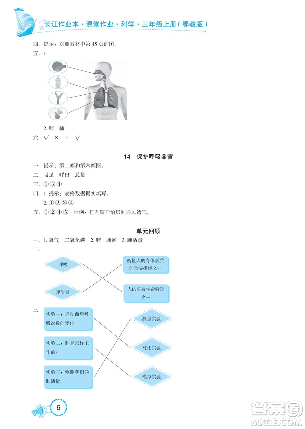 湖北教育出版社2022秋長江作業(yè)本課堂作業(yè)科學三年級上冊人教鄂教版答案