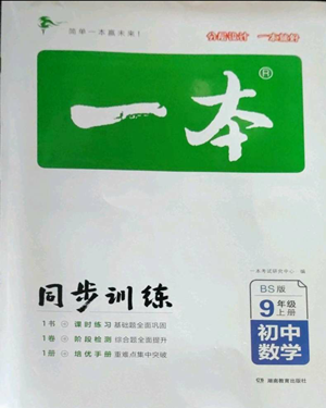 湖南教育出版社2022一本同步訓練九年級上冊數(shù)學北師大版參考答案