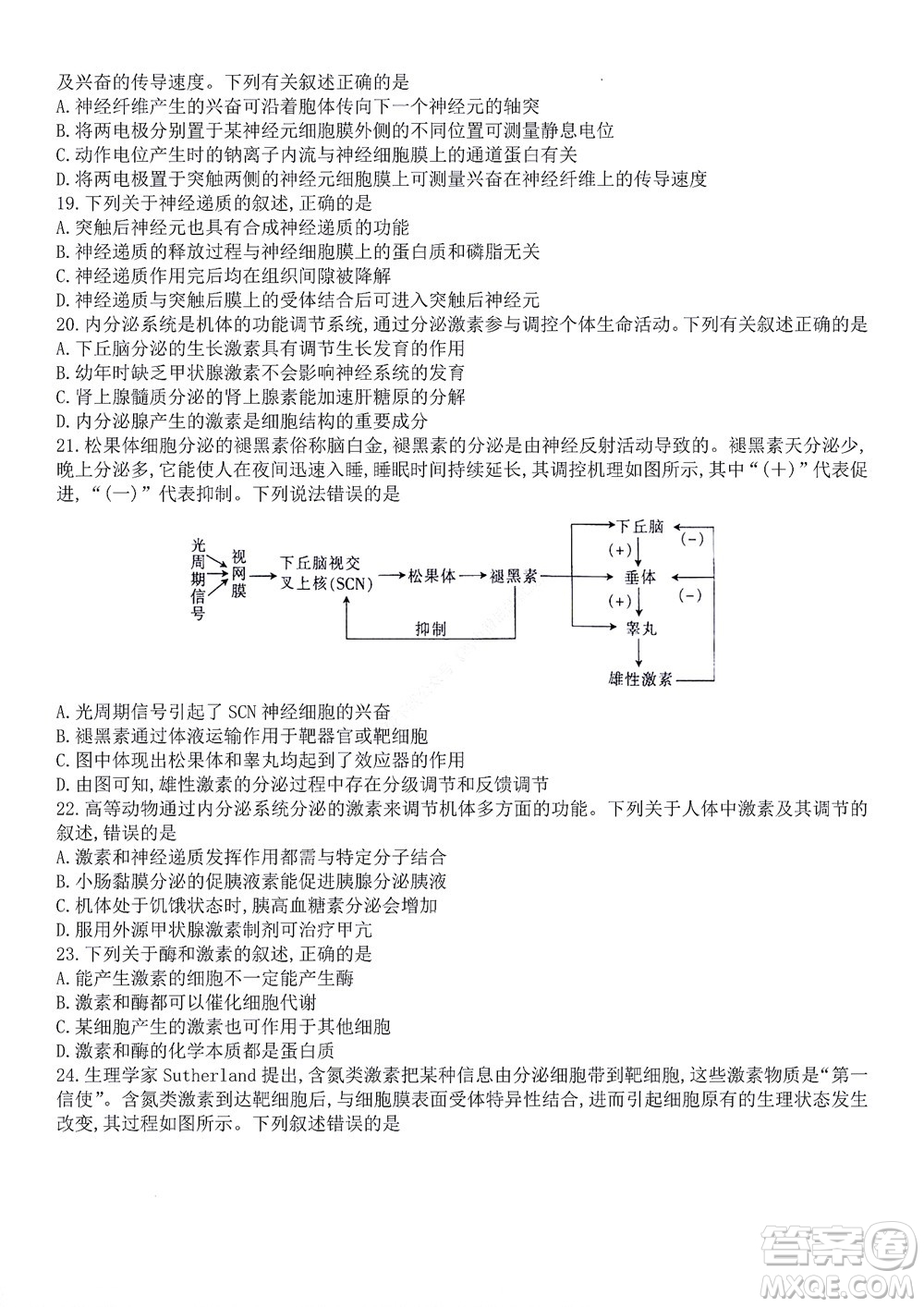 河南省創(chuàng)新聯(lián)盟2022-2023學(xué)年高二上學(xué)期第一次聯(lián)考生物試題及答案