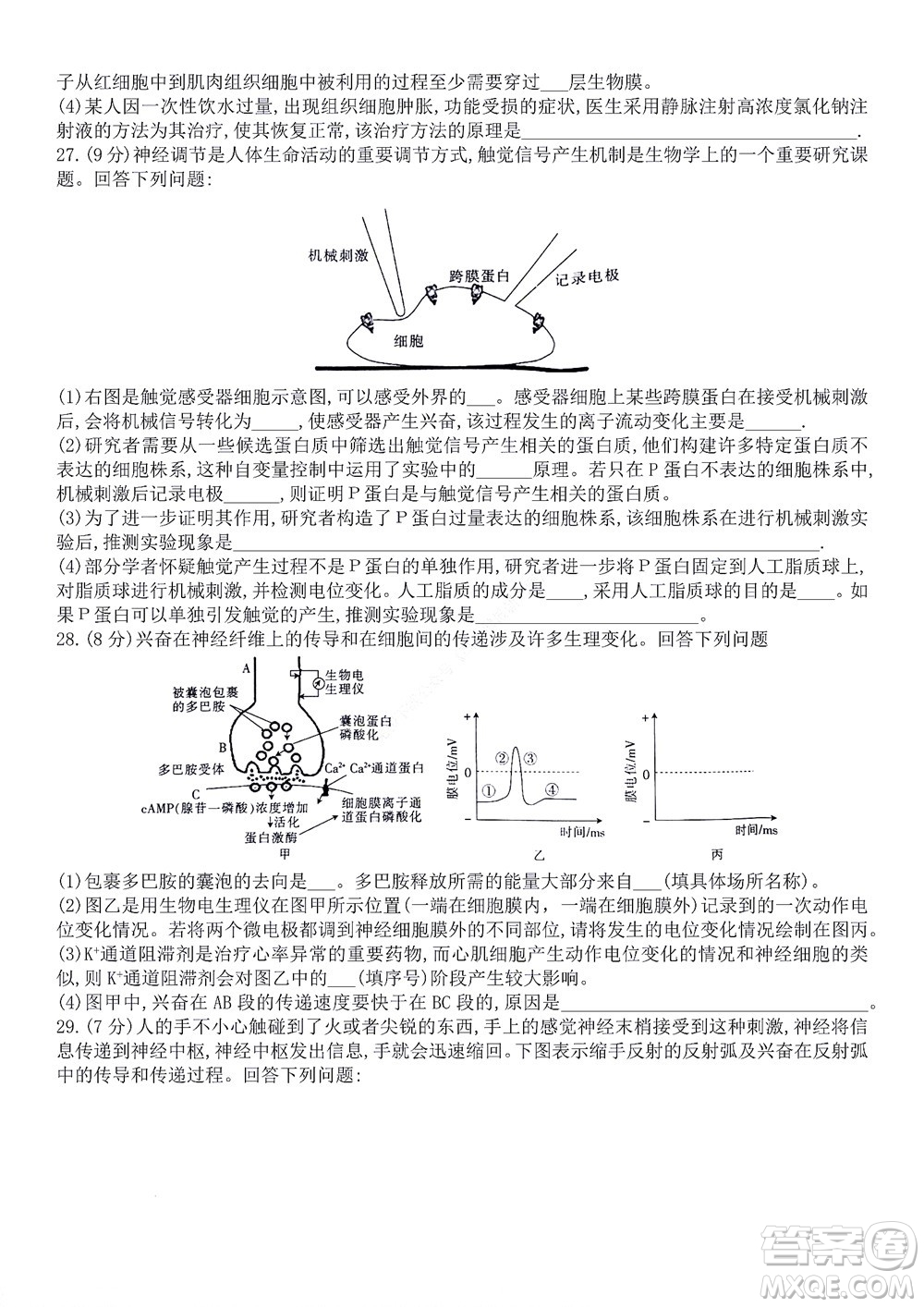 河南省創(chuàng)新聯(lián)盟2022-2023學(xué)年高二上學(xué)期第一次聯(lián)考生物試題及答案