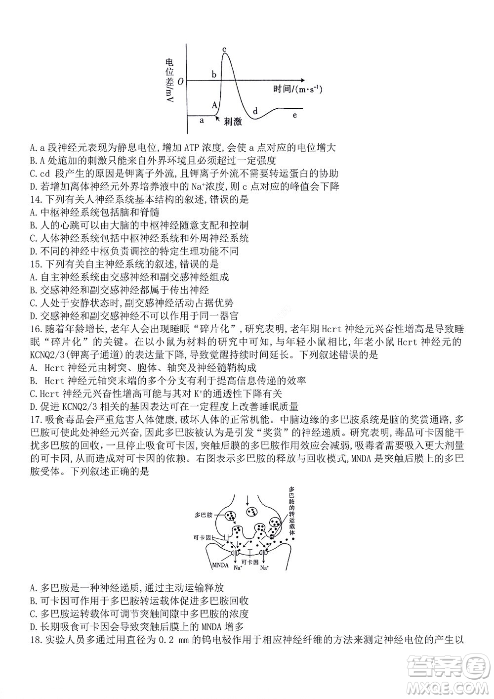 河南省創(chuàng)新聯(lián)盟2022-2023學(xué)年高二上學(xué)期第一次聯(lián)考生物試題及答案