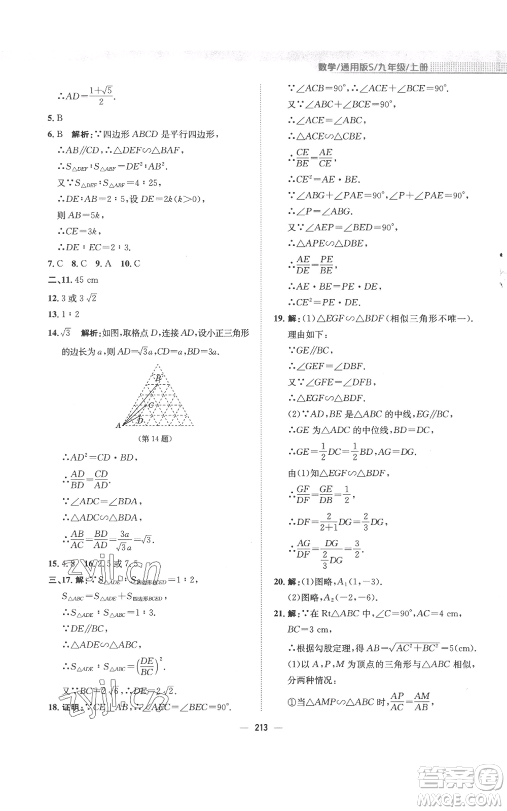 安徽教育出版社2022新編基礎(chǔ)訓(xùn)練九年級上冊數(shù)學(xué)通用版S參考答案