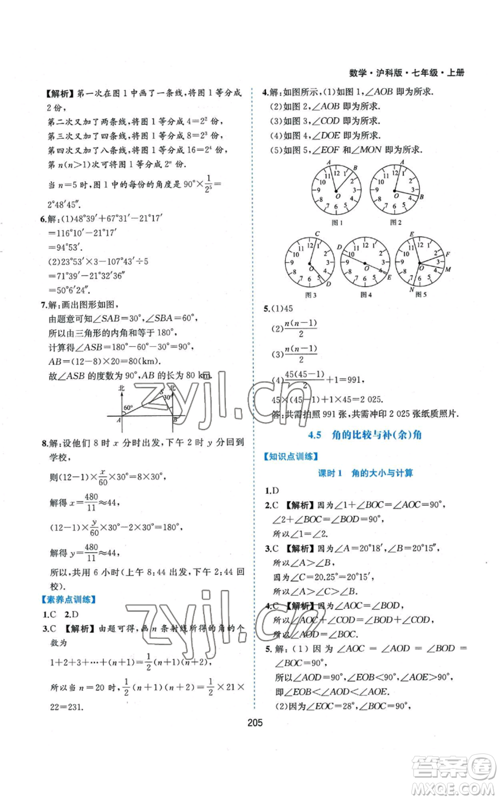 黃山書社2022新編基礎(chǔ)訓(xùn)練七年級(jí)上冊(cè)數(shù)學(xué)滬科版參考答案