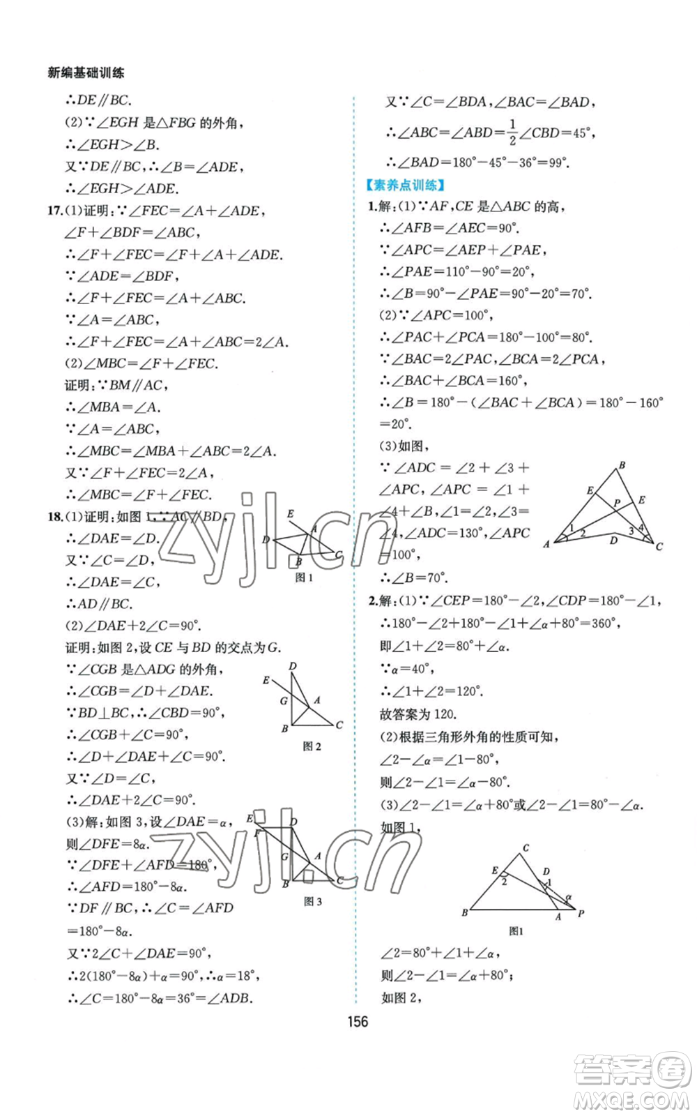 黃山書社2022新編基礎(chǔ)訓(xùn)練八年級(jí)上冊數(shù)學(xué)滬科版參考答案