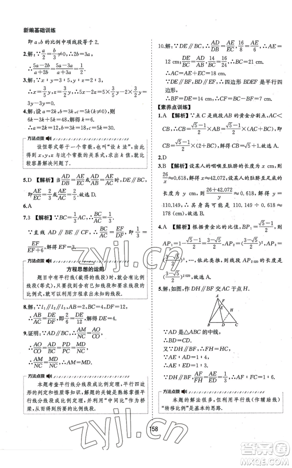 黃山書社2022新編基礎訓練九年級上冊數(shù)學滬科版參考答案