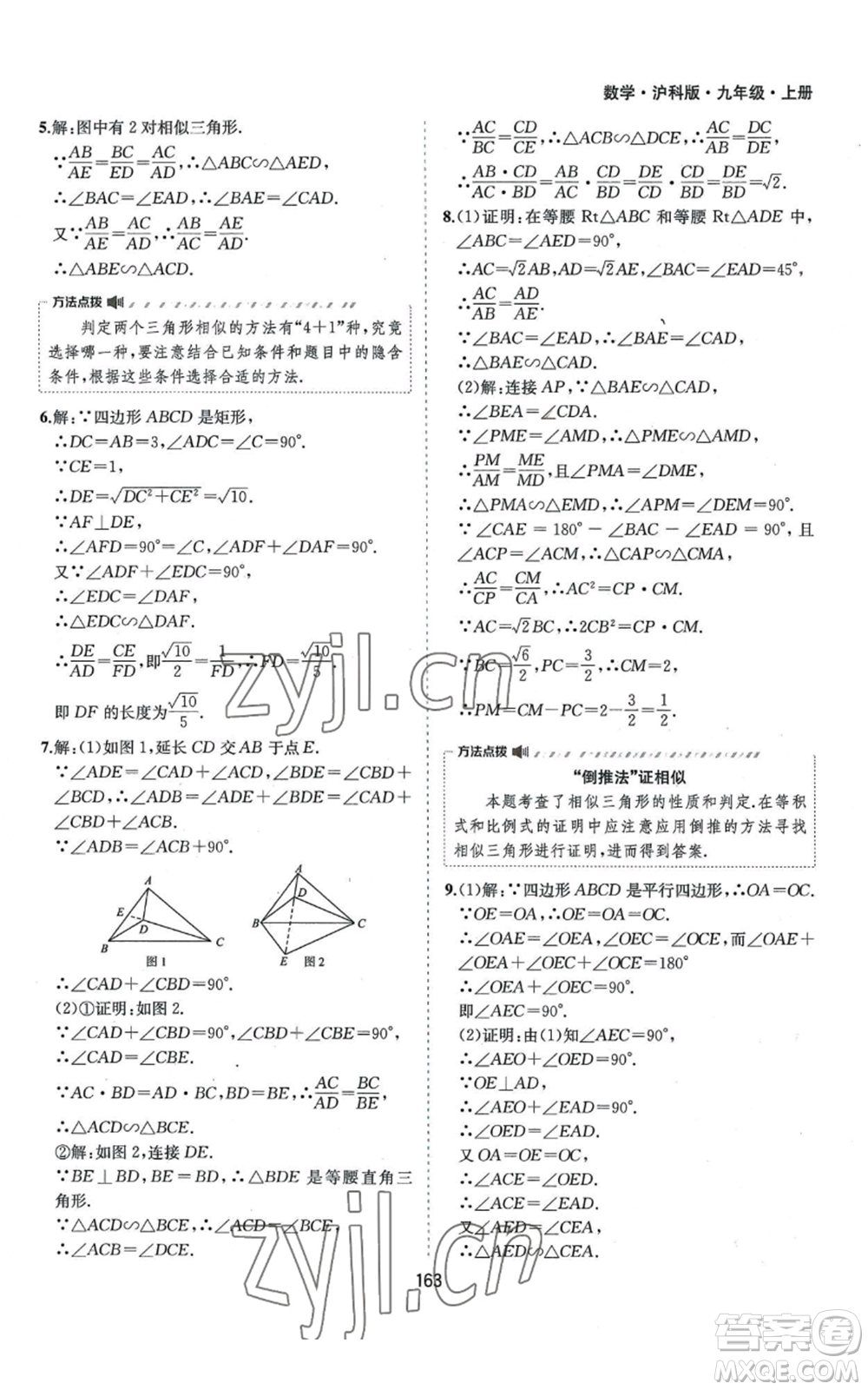 黃山書社2022新編基礎訓練九年級上冊數(shù)學滬科版參考答案