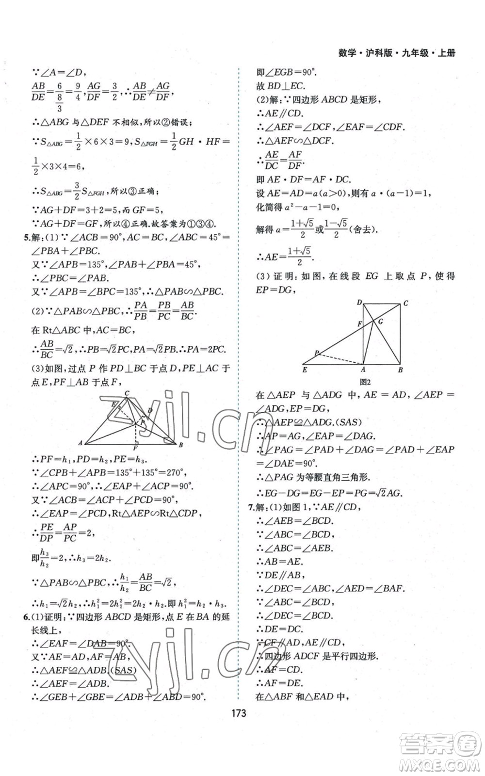 黃山書社2022新編基礎訓練九年級上冊數(shù)學滬科版參考答案