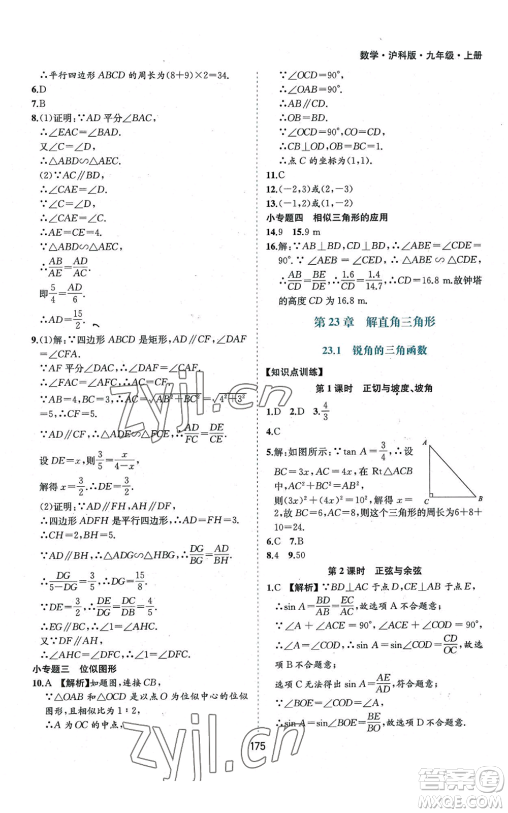 黃山書社2022新編基礎訓練九年級上冊數(shù)學滬科版參考答案