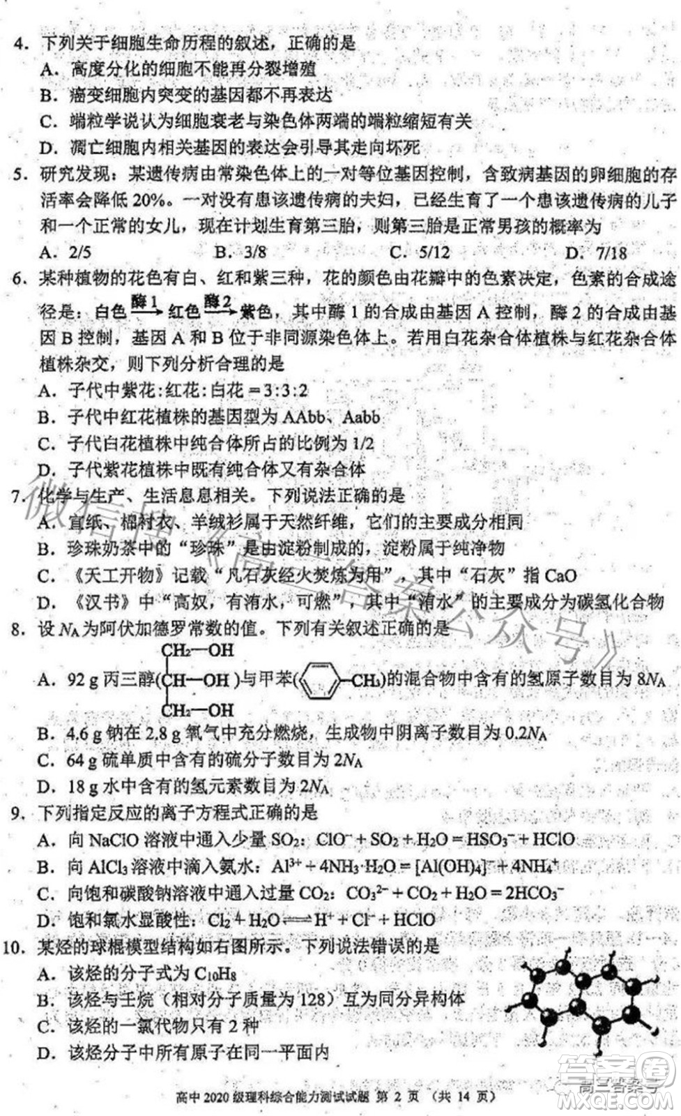 蓉城名校聯(lián)盟2022-2023學(xué)年度上期高中2020級(jí)入學(xué)聯(lián)考理科綜合試題及答案