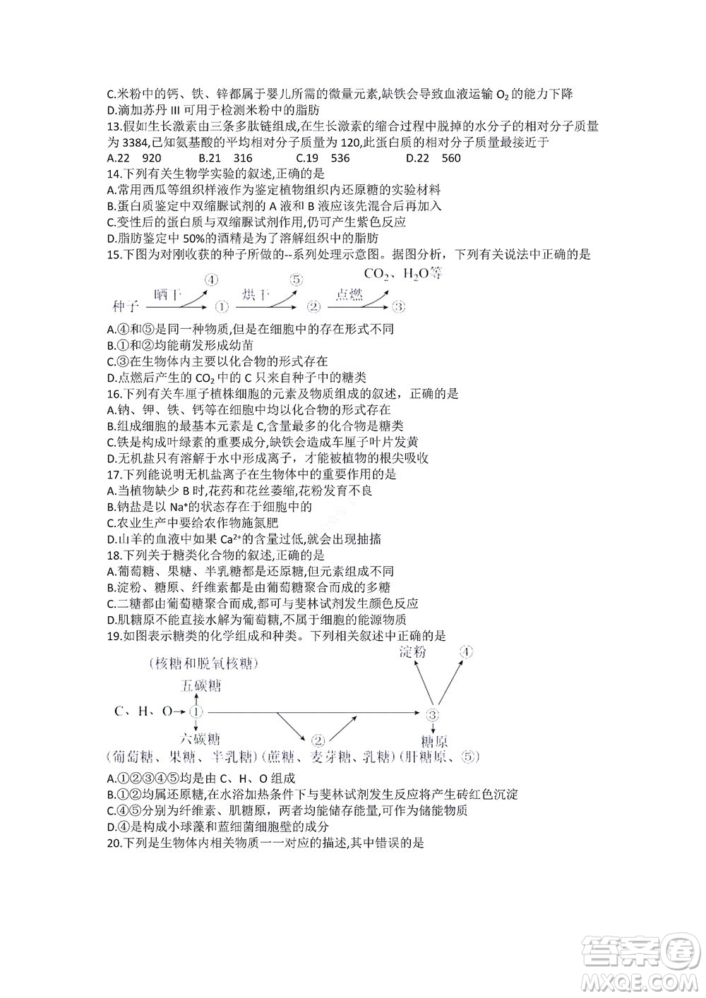 湖南省部分學(xué)校2022-2023學(xué)年度上學(xué)期高一年級一調(diào)考試生物試題及答案