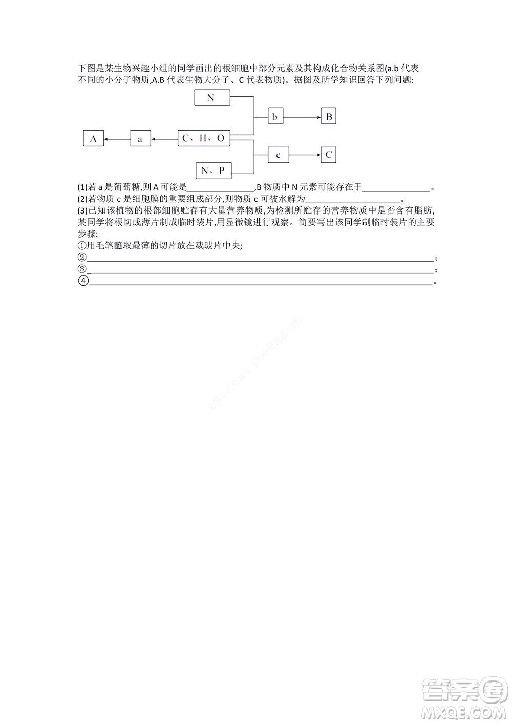 湖南省部分學(xué)校2022-2023學(xué)年度上學(xué)期高一年級一調(diào)考試生物試題及答案