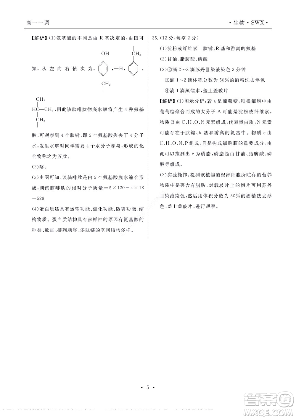 湖南省部分學(xué)校2022-2023學(xué)年度上學(xué)期高一年級一調(diào)考試生物試題及答案