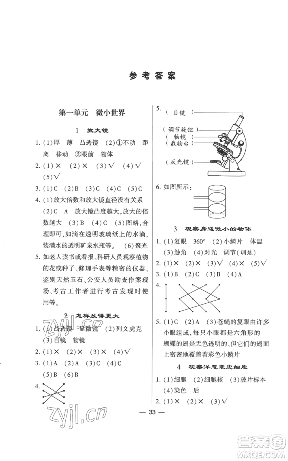 寧夏人民教育出版社2022經(jīng)綸學(xué)典學(xué)霸棒棒堂同步提優(yōu)六年級(jí)上冊(cè)科學(xué)教科版參考答案